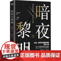 暗夜与黎明 文靖 编 短篇小说集/故事集文学 正版图书籍 浙江文艺出版社
