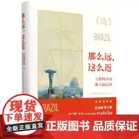 那么远,这么近:互联网市场新大陆巴西