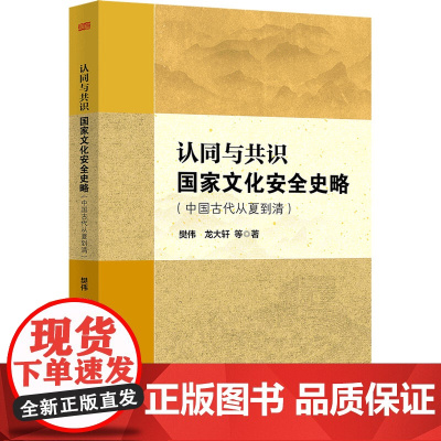 认同与共识 国家文化安全史略 樊伟 著 中国文化/民俗经管、励志 正版图书籍 东方出版社