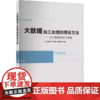 大数据加工处理的理论方法——从大数据到统计数据 张维群,李佳静,雷晓莹 编 企业管理经管、励志 正版图书籍