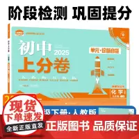 2025春初中上分卷 化学九年级下册 人教版