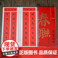 集字春联100副随身字卡·多宝塔碑 近距离临摹练字卡 新编新版实用常用楷书春联对联毛笔软笔书法字帖 江西美术出版社