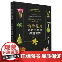 镜待花开奇妙的植物微观世界