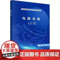 电路基础:项建弘 著 大中专理科科技综合 大中专 科学出版社