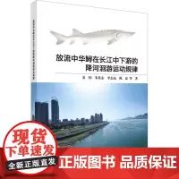 放流中华鲟在长江中下游的降河洄游运动规律:姜伟 著 大中专理科科技综合 大中专 科学出版社
