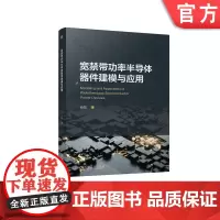正版 宽禁带功率半导体器件建模与应用 肖龙 9787111765387 机械工业出版社 教材