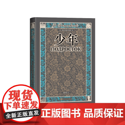 少年(俄)陀思妥耶夫斯基人民文学出版社