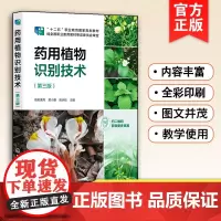 正版 药用植物识别技术 第三版 植物识别基础 常见药用植物分类识别 南方 药用植物资源分布情况 高职高专院校中药相关专业