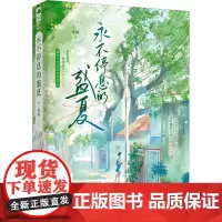 永不停息的盛夏 十二里闲 著 青春小说 文学 贵州人民出版社