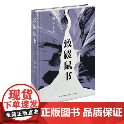 新书 致鼹鼠书 茅盾文学奖得主张炜全新诗集 现当代文学作品 小说书籍排行榜 诗集散文 长江文艺