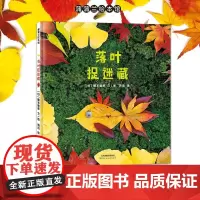 [换社新版]落叶捉迷藏——精装 2岁以上 落叶果实 想象力动手能力 实物造型实景拍摄 秋天 好奇心 大自然 蒲蒲兰绘本馆