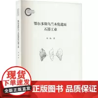 鄂尔多斯乌兰木伦遗址石器工业 刘扬 著 文物/考古社科 正版图书籍 文物出版社