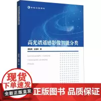 高光谱遥感影像智能分类 蒲生亮,王亚林 著 自动化技术专业科技 正版图书籍 哈尔滨工程大学出版社