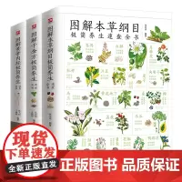 图解本草纲目+黄帝内经+千金方养生速查全书套装(全3册)含章新实用-全新图解版 精选120多种常见本草