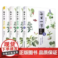 每日一学草药(套装4册)