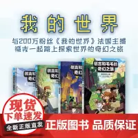 福吉和毛毛的奇幻之旅:全4册