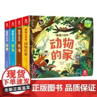 揭秘小世界(第2辑共4册)(精)