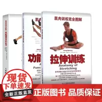 功能性训练+拉伸训练+终极健身百科全书 共3册