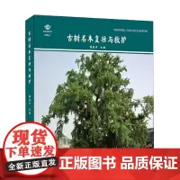 古树名木复壮与救护