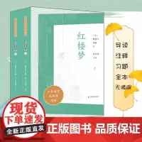 (全2册)红楼梦(少年国学无障碍阅读)