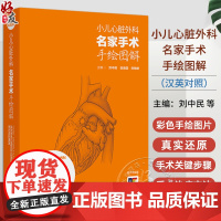 小儿心脏外科名家手术手绘图解汉英对照 小儿心脏手术切口 心肺转流术 外科学 主编刘中民 翁渝国等 97871173584