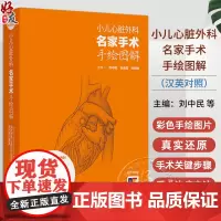 小儿心脏外科名家手术手绘图解汉英对照 小儿心脏手术切口 心肺转流术 外科学 主编刘中民 翁渝国等 97871173584