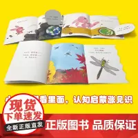 奇思妙想翻翻书(全5册)