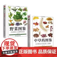 中草药图鉴+野菜图鉴(全2册)