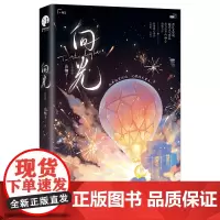 向光.完结篇(青春电竞治愈小说) 普通版 飞机盒