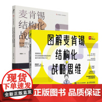 麦肯锡结构化战略思维+图解麦肯锡结构化战略思维 共2册