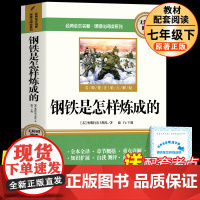 钢铁是怎样炼成的 七年级下册必读课外书配套人教版阅读书籍正版原著 初中生初一7年级课外阅读书目语文配套教材
