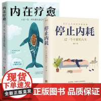 停止内耗 内在疗愈 心理学励志书籍2册套装 治愈心灵 人这一生终究要和自己和解 过一个不累人生
