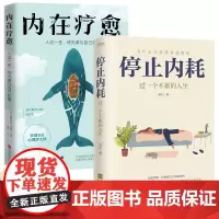 停止内耗 内在疗愈 心理学励志书籍2册套装 治愈心灵 人这一生终究要和自己和解 过一个不累人生