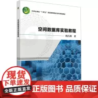 空间数据库实验教程:程昌秀 著 大中专理科计算机 大中专 科学出版社