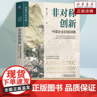 非对称创新 中国企业赶超战略 揭示中国企业全球创新赶超的智慧 构建中国特色创新管理理论 中国经济发展理论书籍