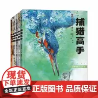 解锁动物生存密码(全6册)