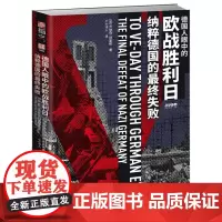 德国人眼中的欧战胜利日