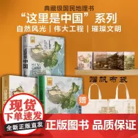 [赠帆布袋]这里是中国123全套三册 星球研究所 百年重塑山河 华夏文明史诗 数千年华夏文明璀璨长卷 中华文明 这里是中