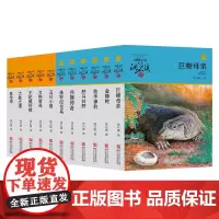 动物小说大王沈石溪品藏书系11册