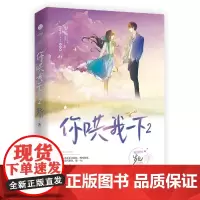 你哄我一下.2 特签本飞机盒