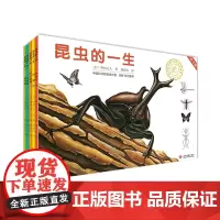 昆虫的一生(5册)