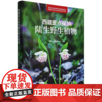 西藏重点保护陆生野生植物 &2368