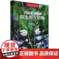 西藏重点保护陆生野生植物 &2368