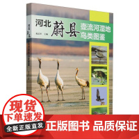 河北蔚县壶流河湿地鸟类图鉴 &2705