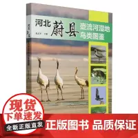 河北蔚县壶流河湿地鸟类图鉴 &2705