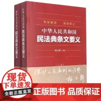 中华人民共和国民法典条文要义(全2册)