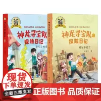 神龙寻宝队的探险日记 国宝不见了+智斗大神巫 共2册