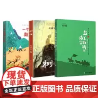 乌兰牧骑的孩子+树孩+一个女孩朝前走 共三册