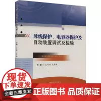 母线保护、电容器保护及自动装置调试及检验:王婷婷,吴晋媛 编 大中专理科科技综合 大中专 西南交通大学出版社