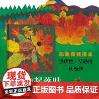 叶子先生 艺术绘本 秋天 落叶 大自然 手工创作 手工作业 凯迪克大奖得主 美国国家户外图书奖 美国《儿童》杂志年度童书